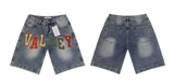 Vale Forever Valley Colorblock Embroidered Denim Shorts